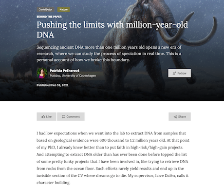 image hover